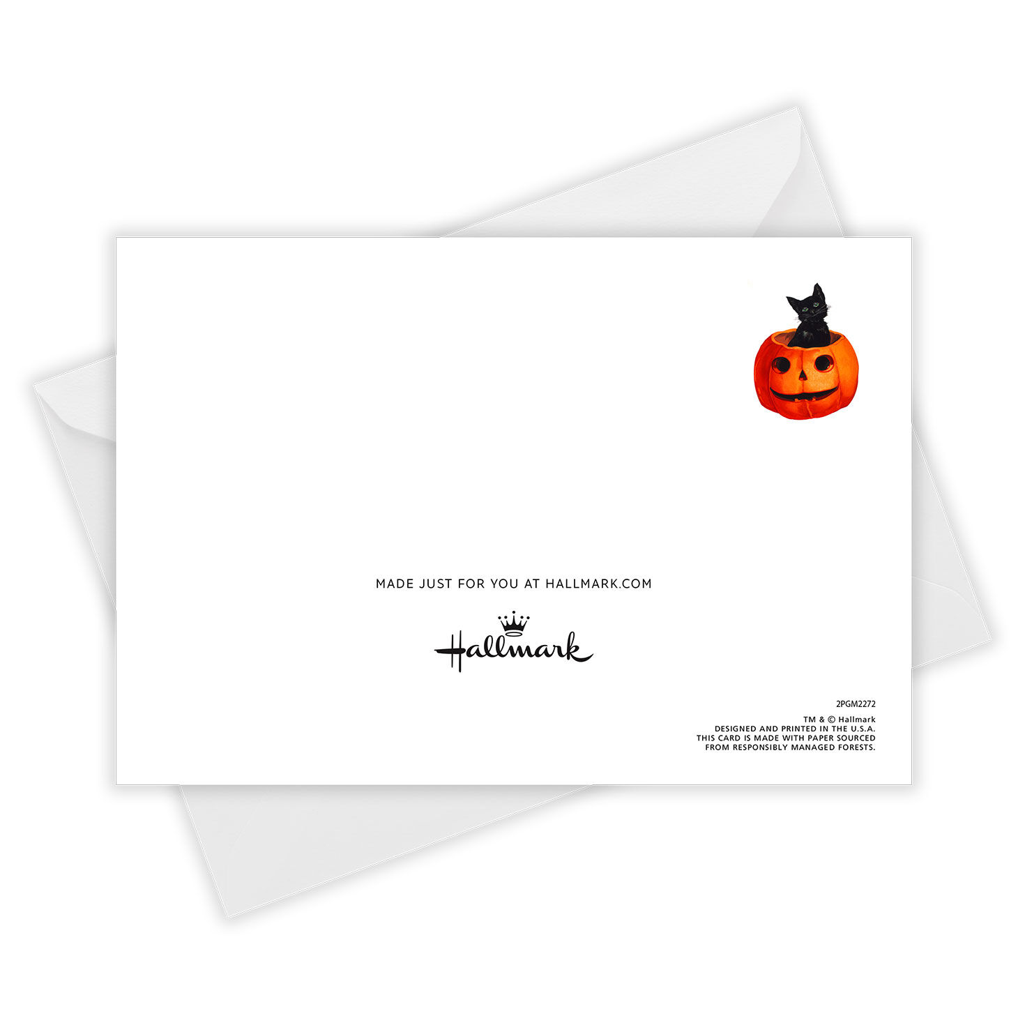 Vintage Black Cat Custom Halloween Card for only USD 4.99 | Hallmark