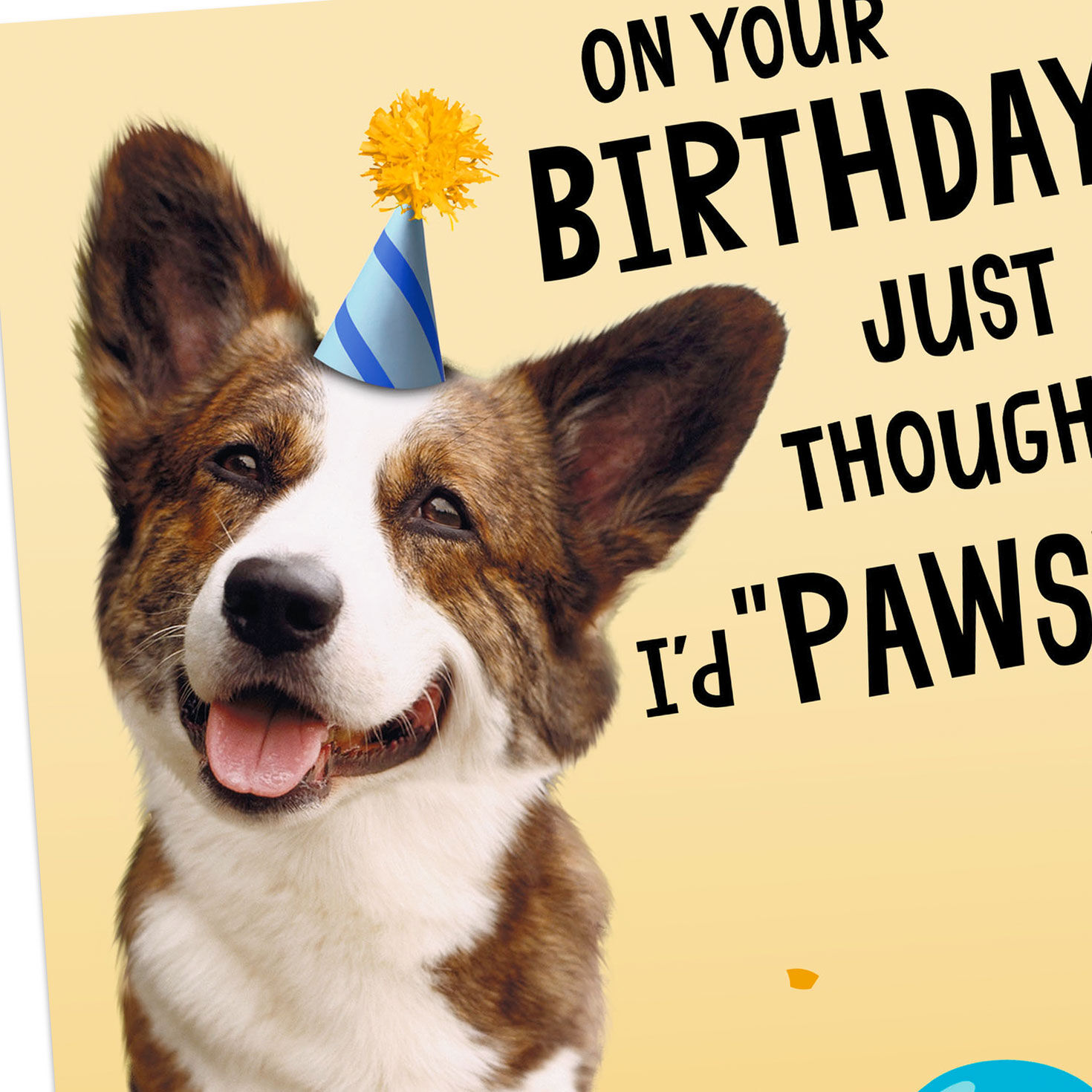 Punny Dogs in Party Hats Funny Birthday Card Card Front Detail image number 7