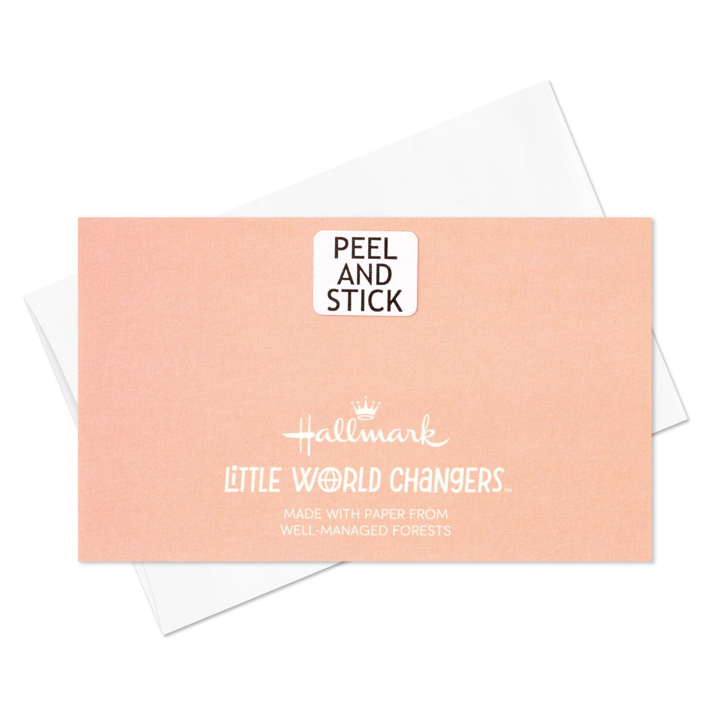 Little World Changers&trade;  Assorted Flat Mini Note Cards, Pack of 12, , large image number 8