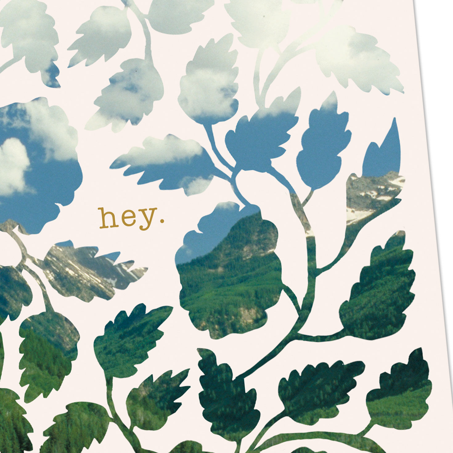 Flowering Vine Mountain Landscape Thinking of You Card Card Front Detail image number 4