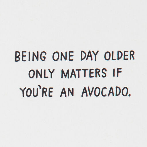 A Brief Guide to Avocados Funny Birthday Card, 
