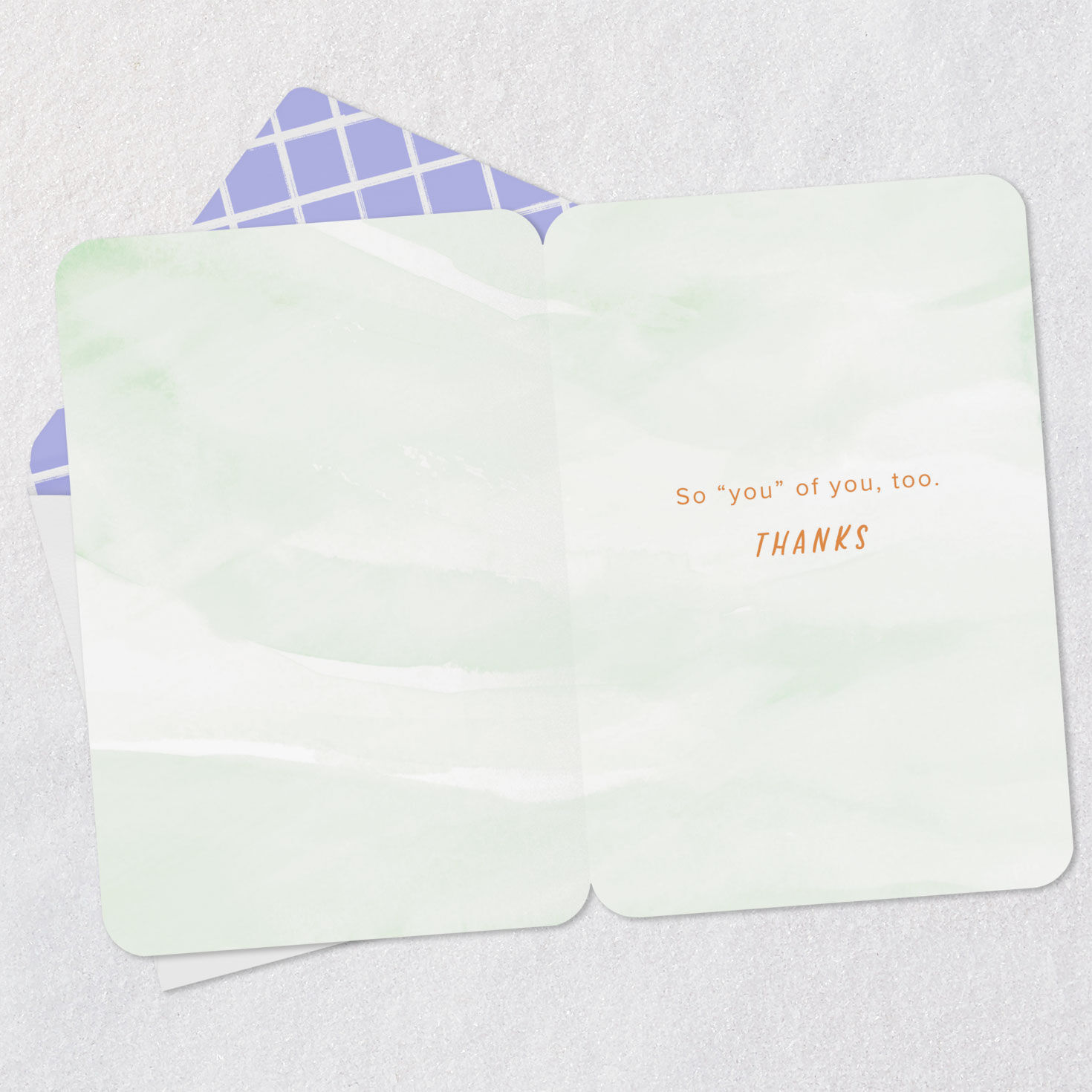 Field of Daisy Flowers Thank You Card Open card with envelope image number 3