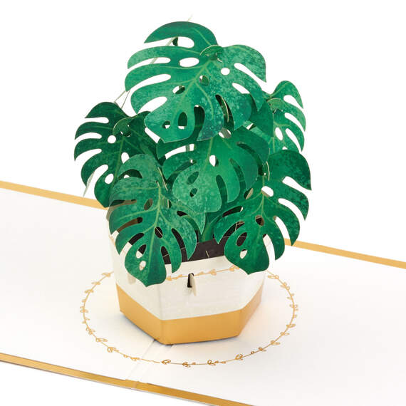 Plant in Pot 3D Pop-Up Thinking of You Card, , large image number 1