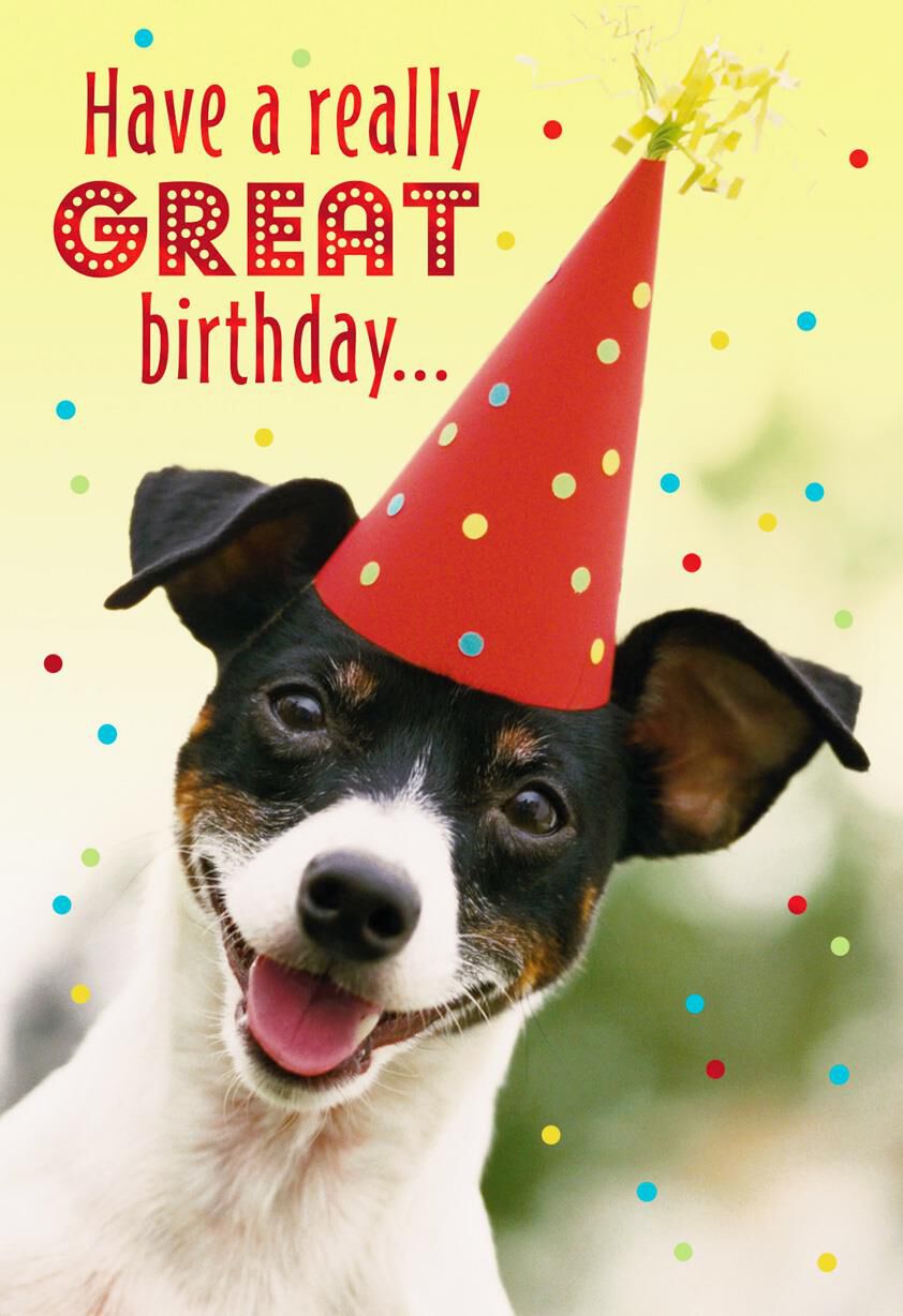 Dog With Party Hat Birthday Card