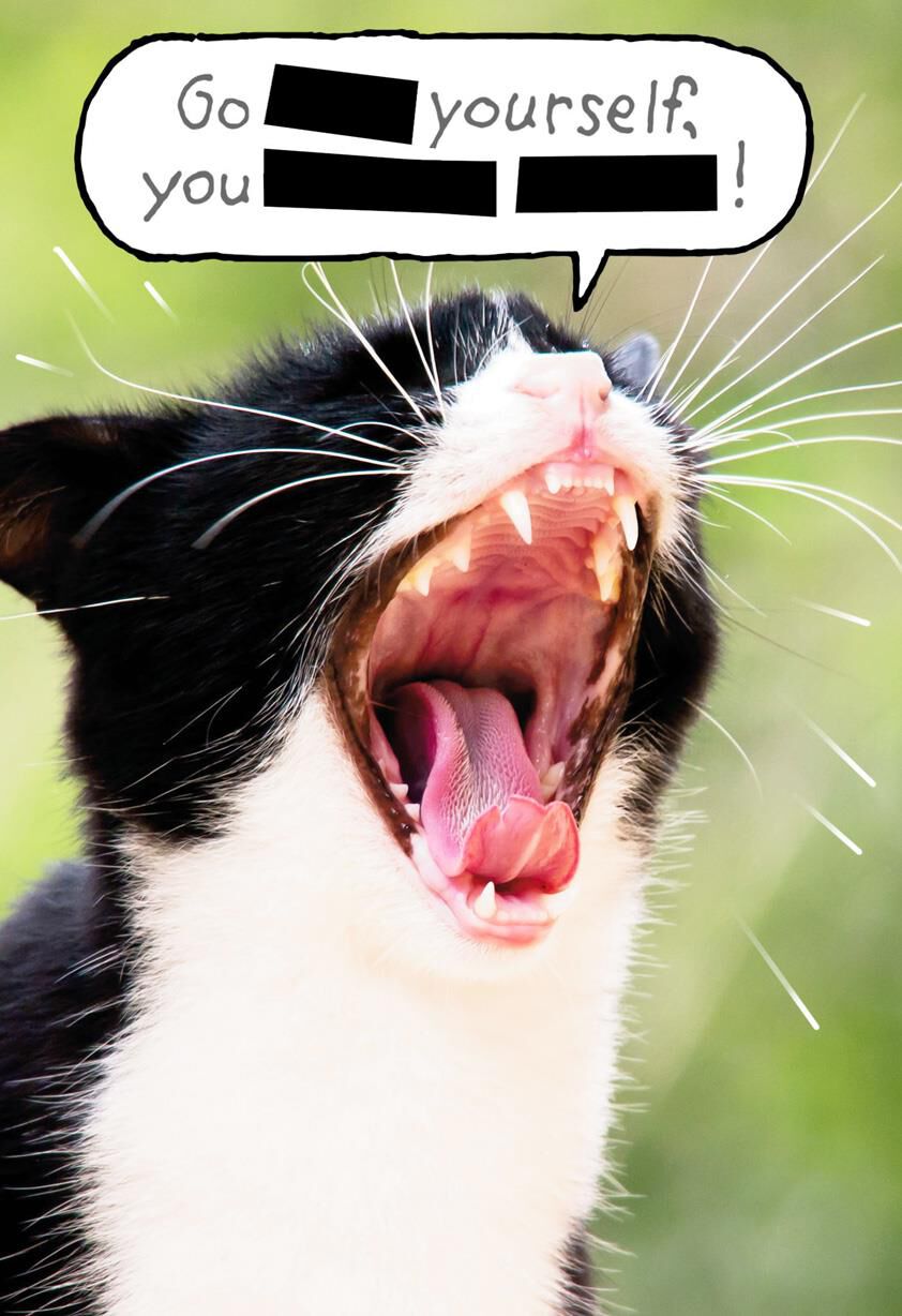Potty Mouth Kitty Funny Encouragement Card
