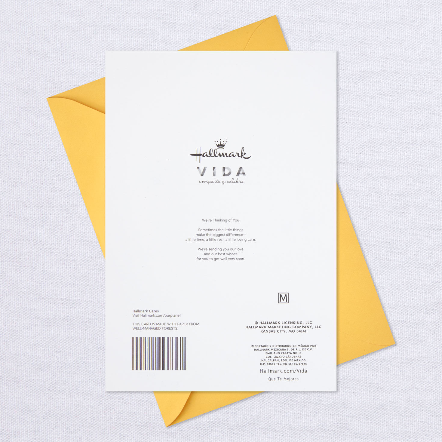 Sending Our Love Spanish-Language Get Well Card, , large image number 7