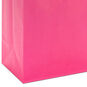 9.6" Assorted Solid Colors 4-Pack Medium Gift Bags, , large image number 6