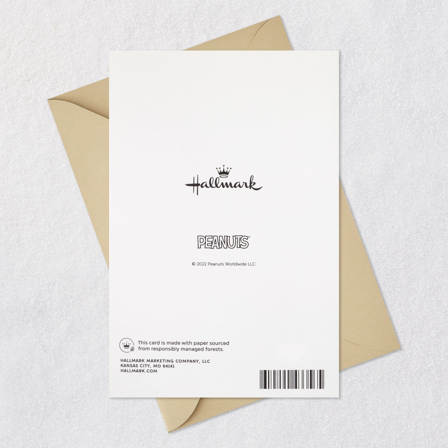 Peanuts® Snoopy Happily Ever After Anniversary Card for only USD 2.99 | Hallmark