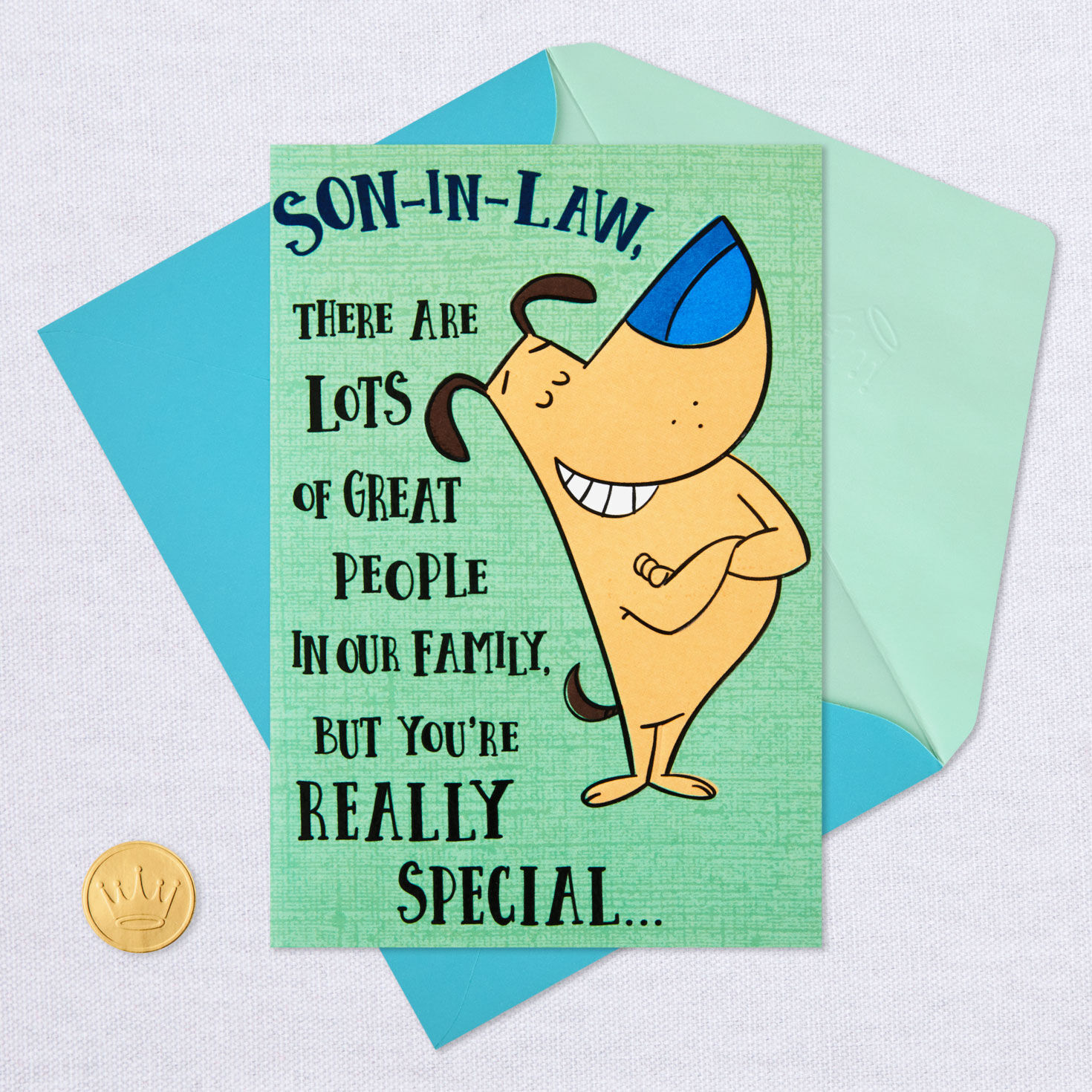 You're Really Special Funny Birthday Card for Son-in-Law for only USD 3.99 | Hallmark