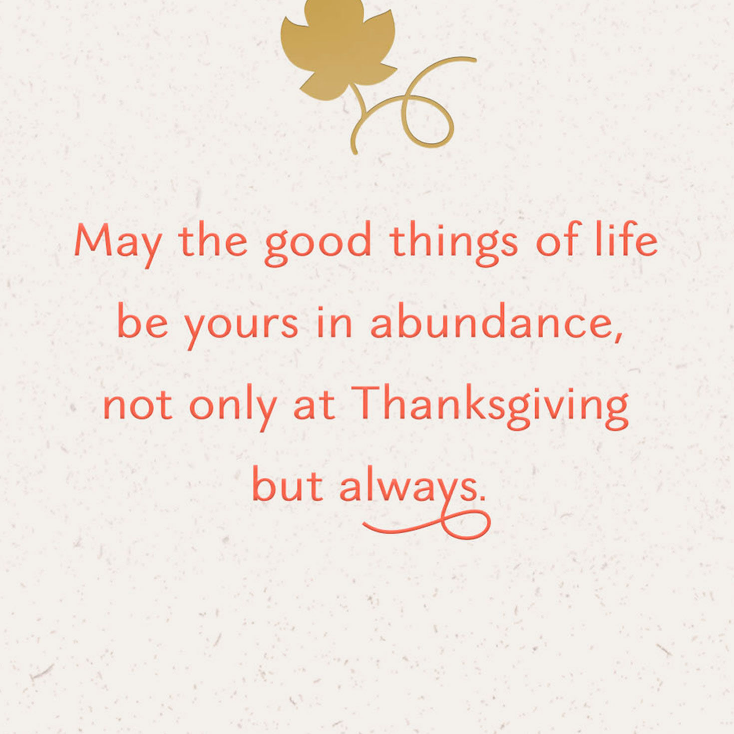 Fall Pumpkins Cornucopia Thanksgiving Card Sentiment image number 2