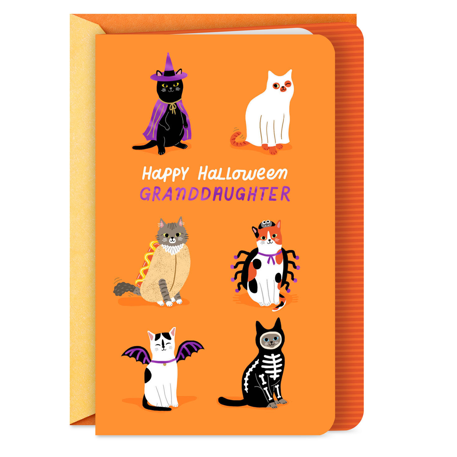 A Purr-fect Day Halloween Card for Granddaughter
