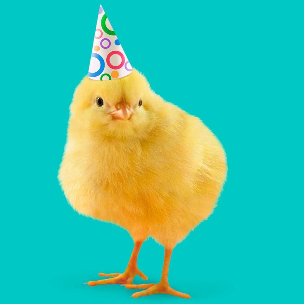Favorite Peeps Musical Birthday Card