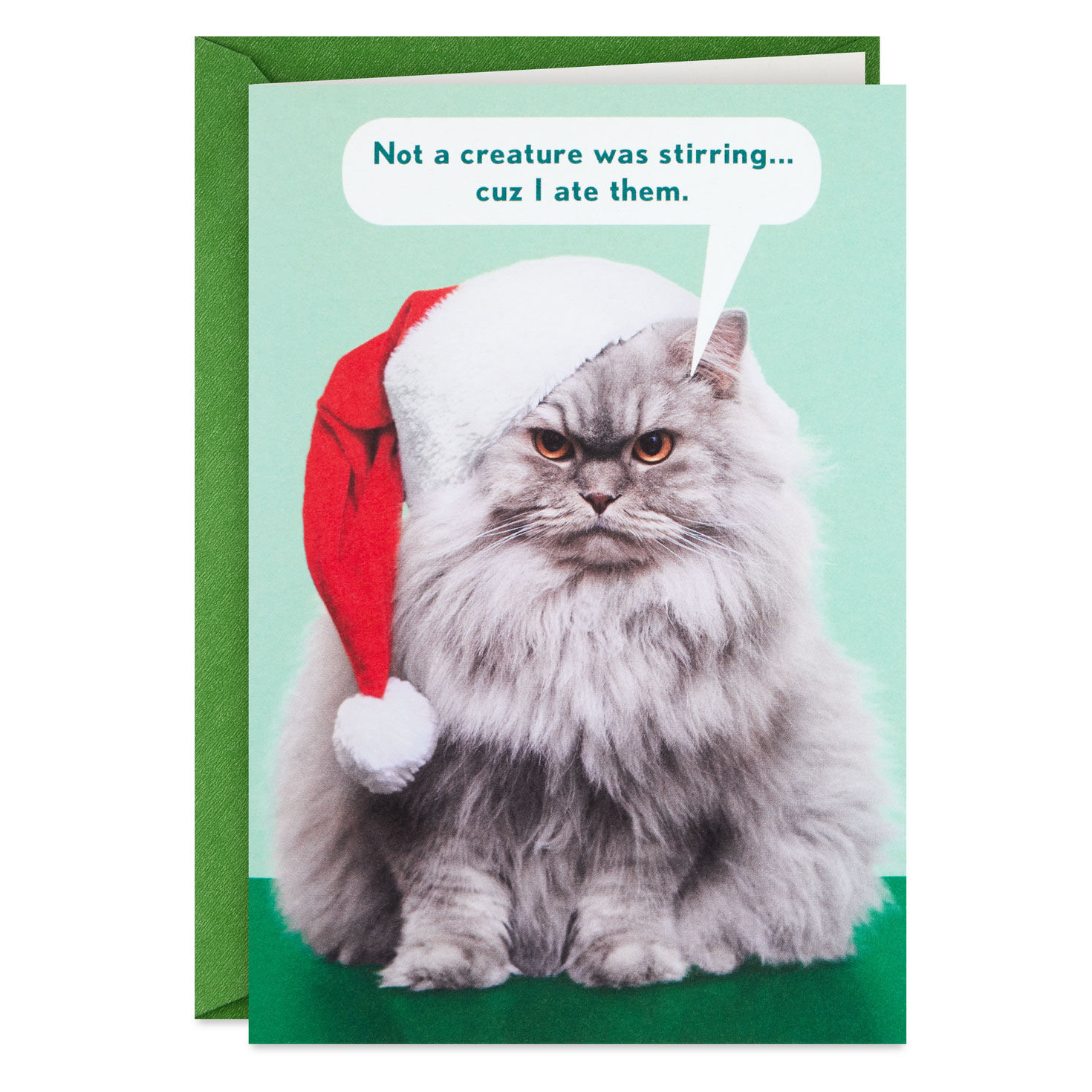 Not a Creature Was Stirring Funny Christmas Card