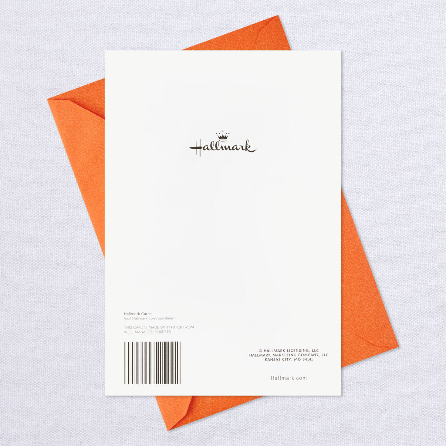 Brand-New Year of You Birthday Card, , large image number 7