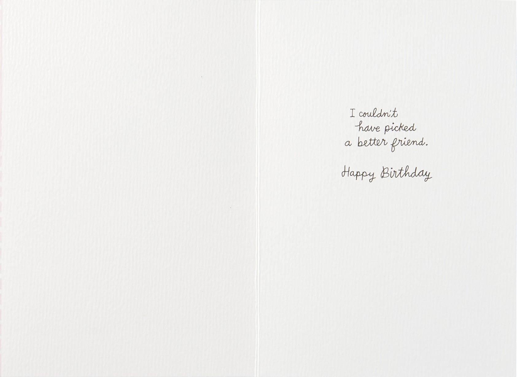 Couldn't Pick a Better Friend Birthday Card