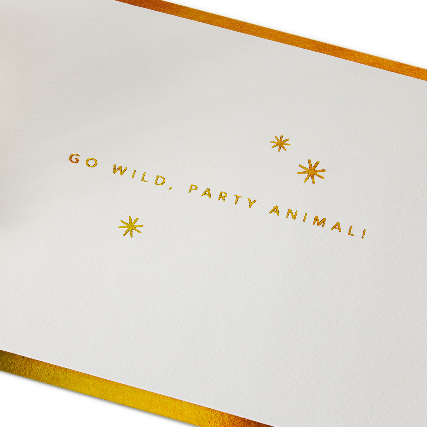 Balloon Animals Pop-Up Birthday Card Sentiment image number 3