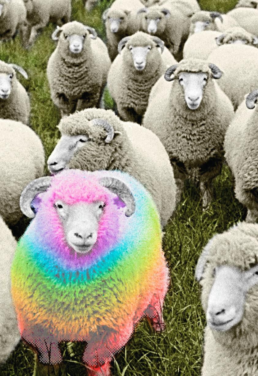 Rainbow Ram Birthday Card