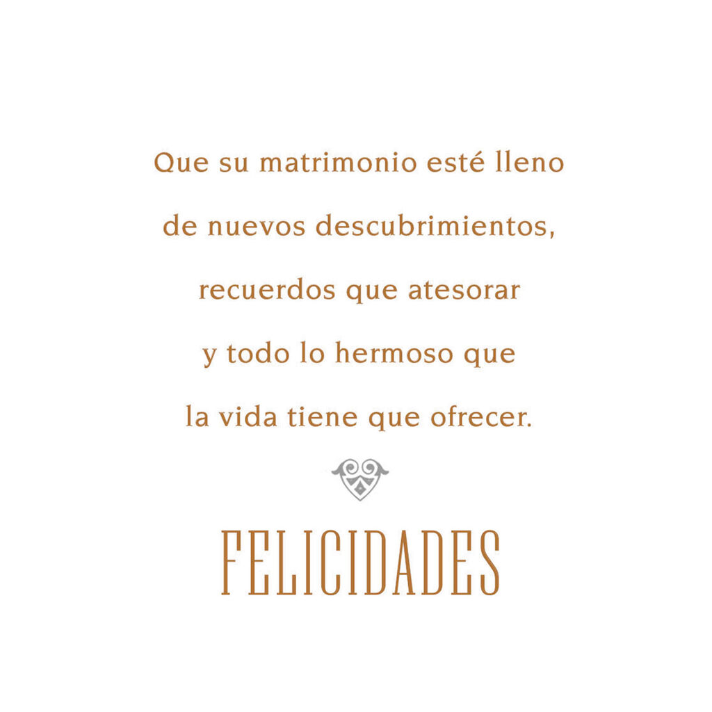 Wonderful Reason to Celebrate SpanishLanguage Wedding Card Greeting