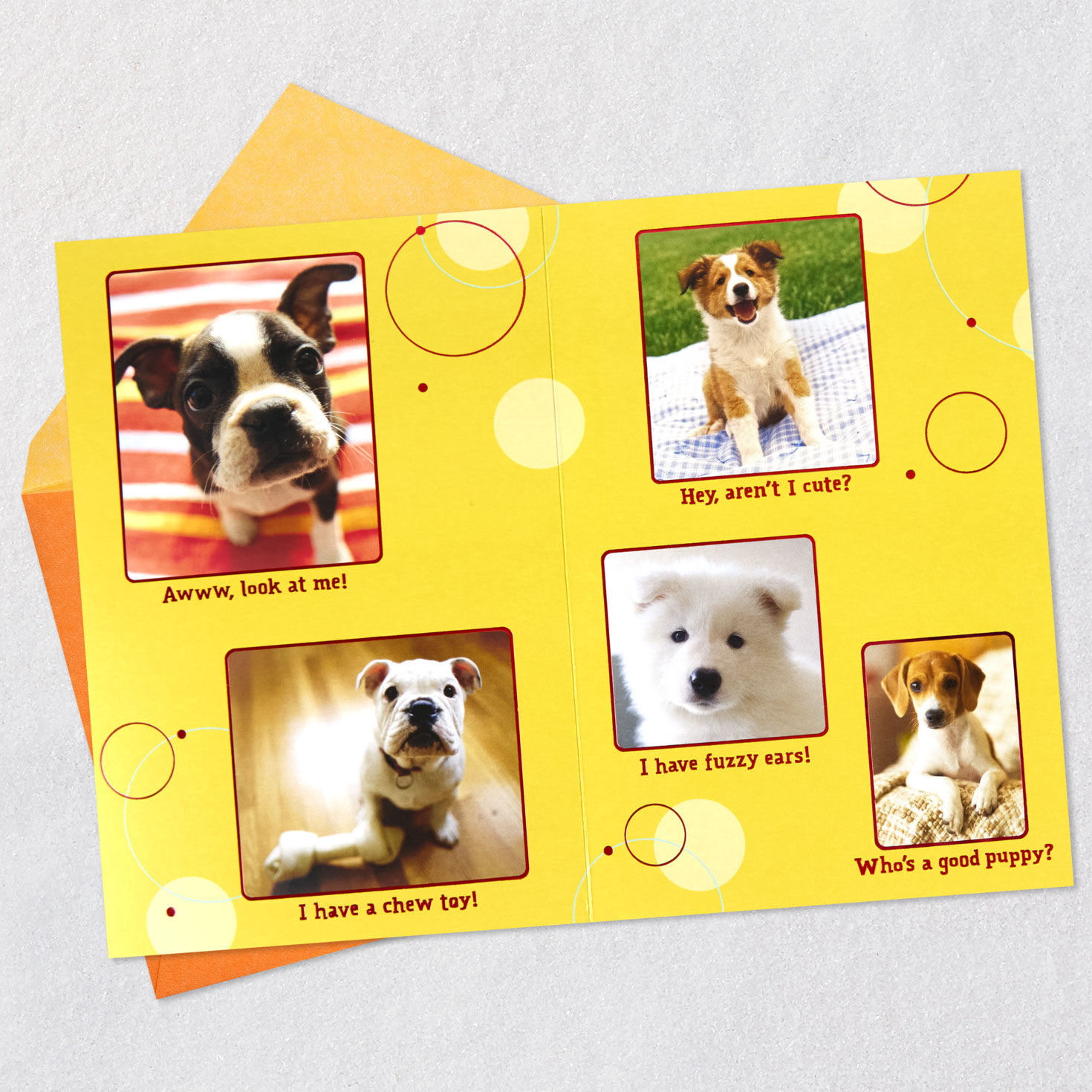 Cute Dog Photos Birthday Card Open card with envelope image number 4