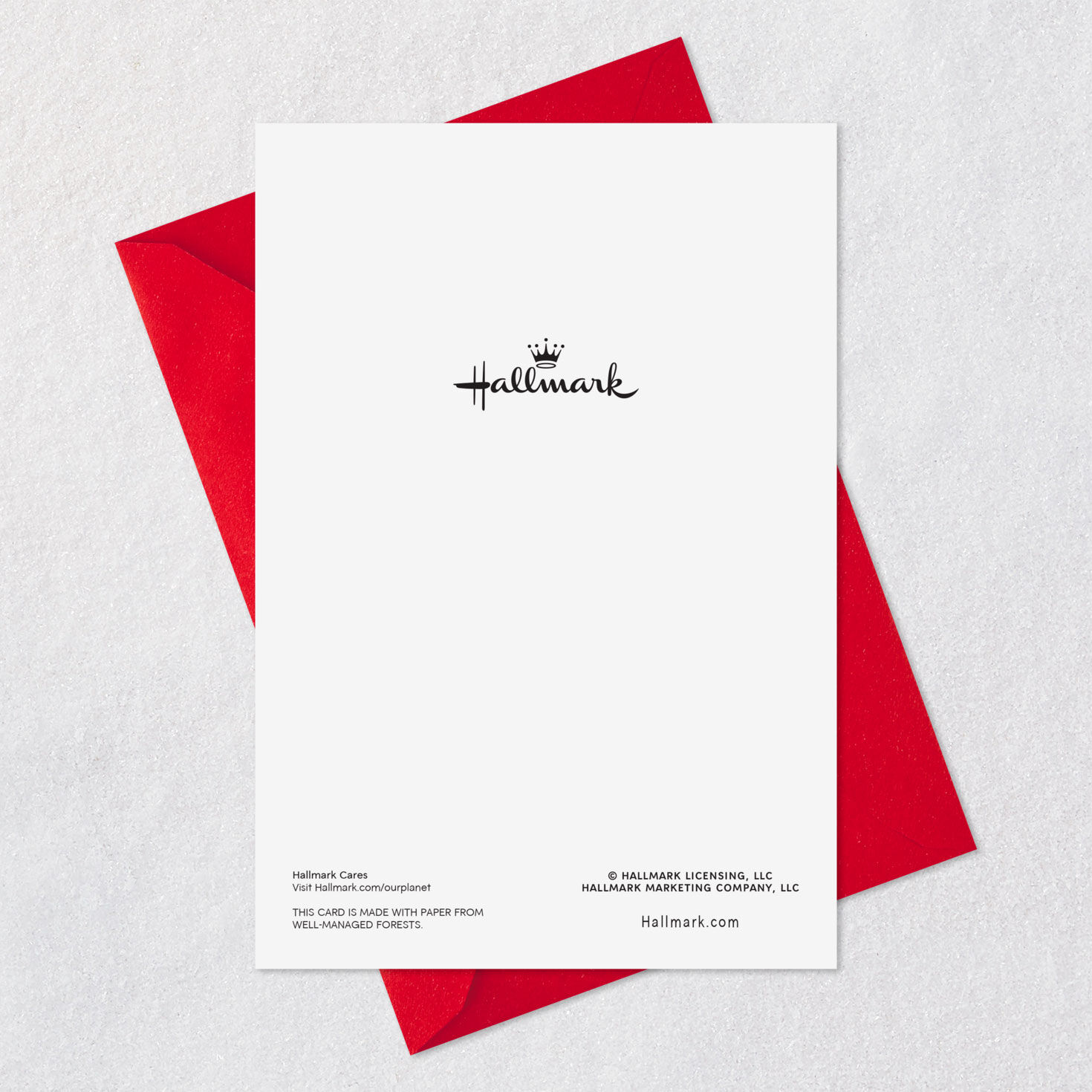 Cute Critters Festive Assorted Christmas Cards, Pack of 8, , large image number 6