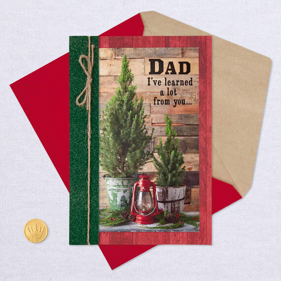 I've Learned a Lot From You Christmas Card for Dad, , large image number 5