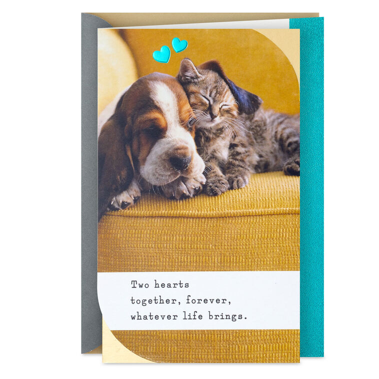 Snoozing Puppy and Kitten Anniversary Card
