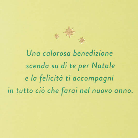 Joy to Your World Italian-Language Christmas Card, , large image number 2
