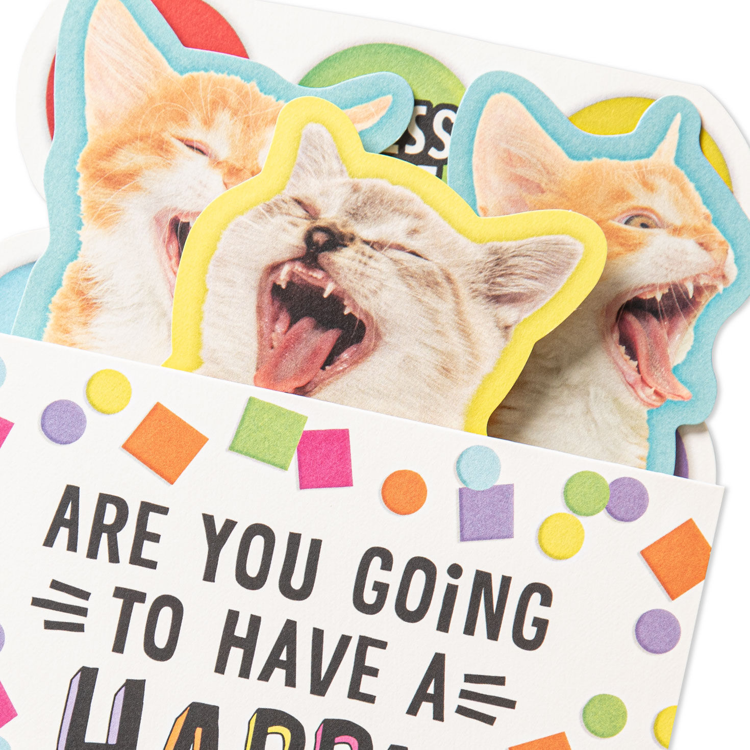 Meowing Cats Funny Musical Pop-Up Birthday Card Card Front Detail image number 4