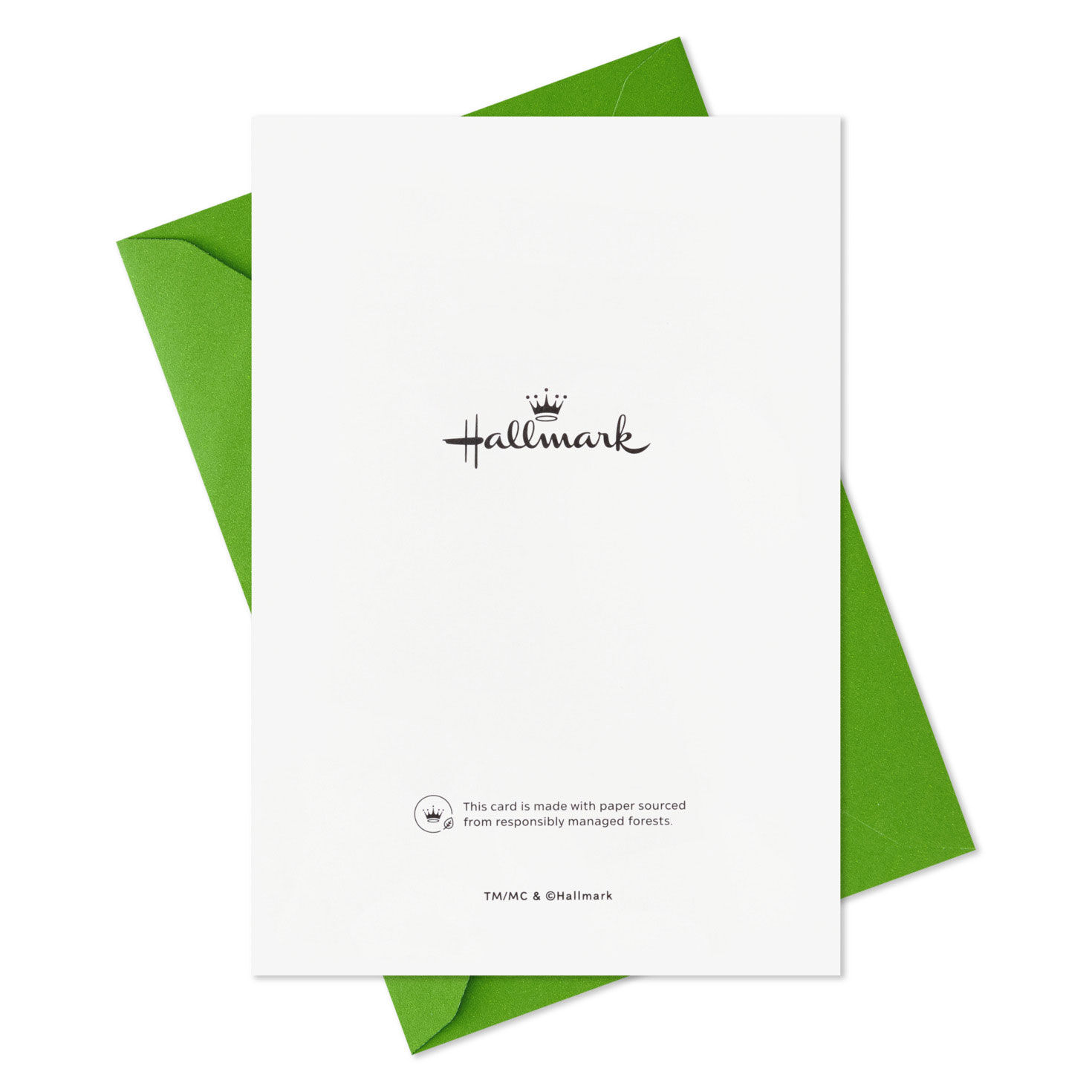 Festive Snowman on Green Packaged Christmas Cards, Set of 5, , large image number 7