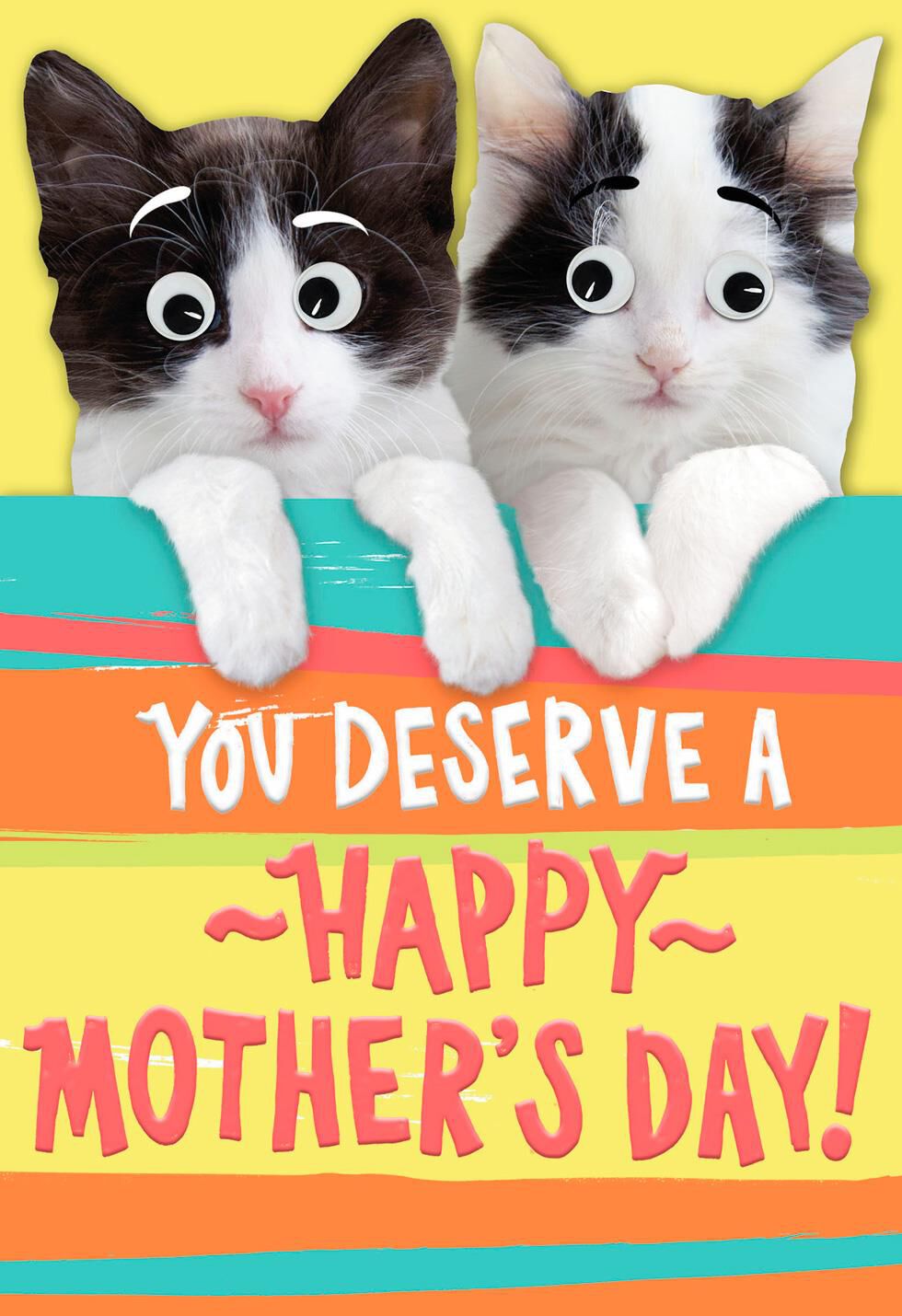 Kitten Mother's Day Card From Both