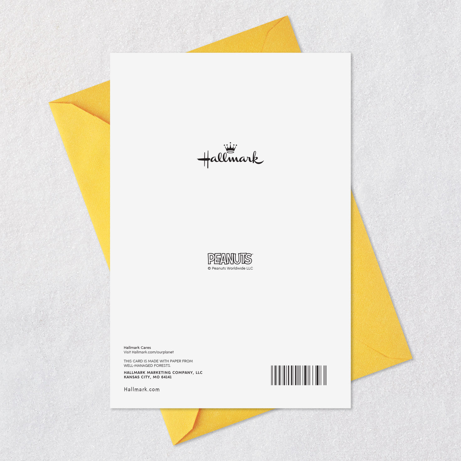 Peanuts&reg; Snoopy Easter Bunny and Woodstock Easter Card for All, , large image number 7