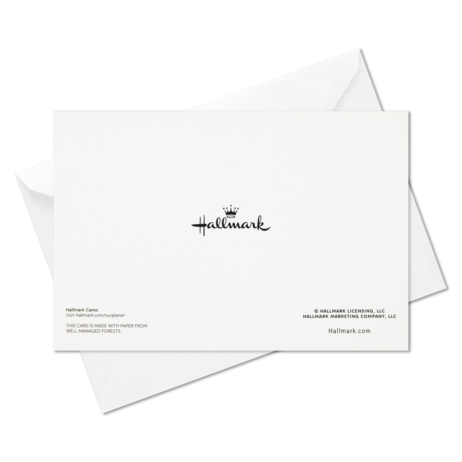 Silver Snowflakes Boxed Holiday Cards, Pack of 40, , large image number 7
