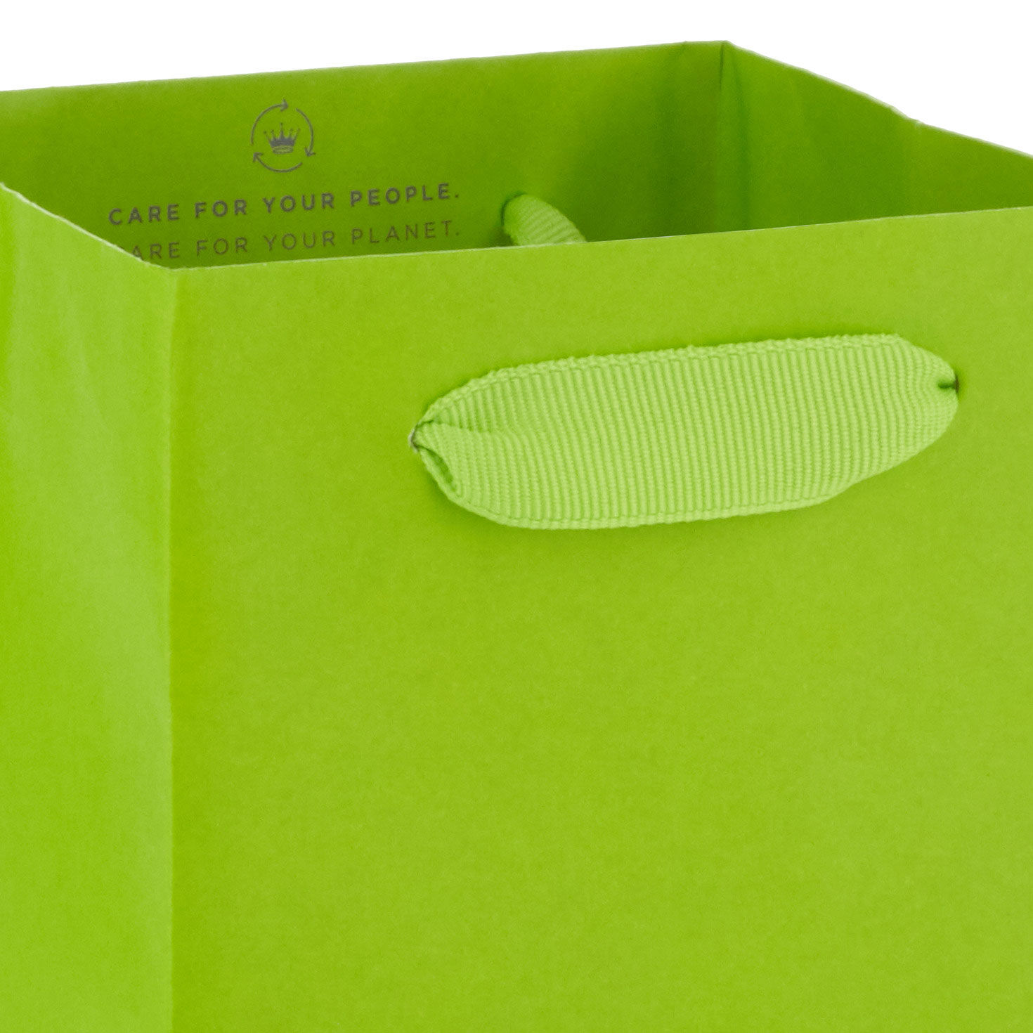 Lime Green Wine Bottle Gift Bag handle detail image number 3