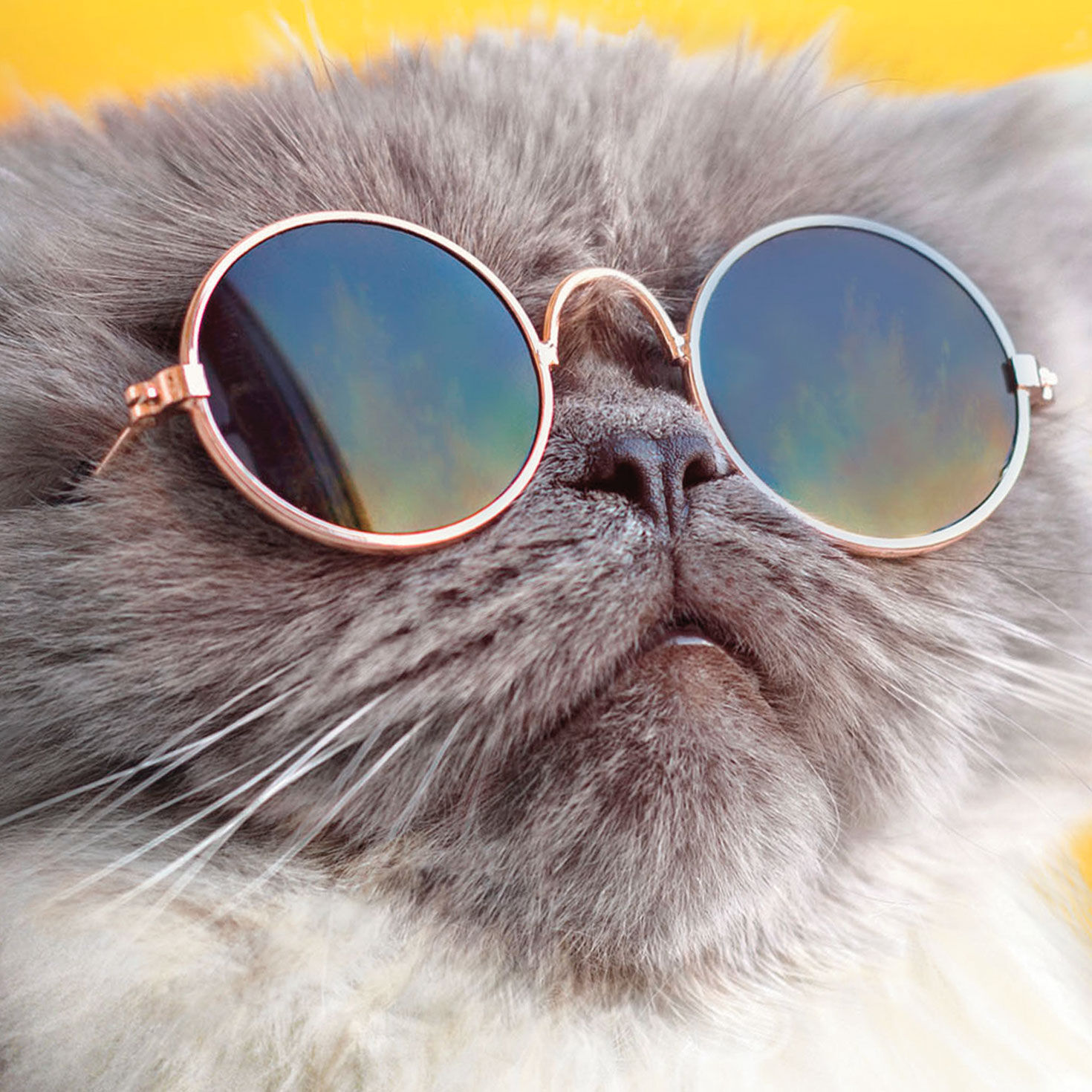 Light the Candles Funny Birthday Card Card Front Detail image number 4