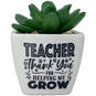 Faux Potted Succulent With Teacher Message, , large image number 1