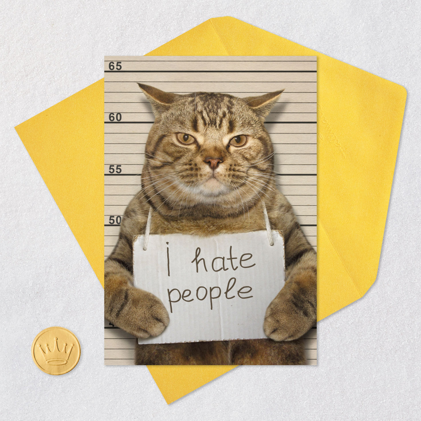 People-Hating Cat Mugshot Funny Friendship Card Card Front with Envelope and Gold Seal image number 5