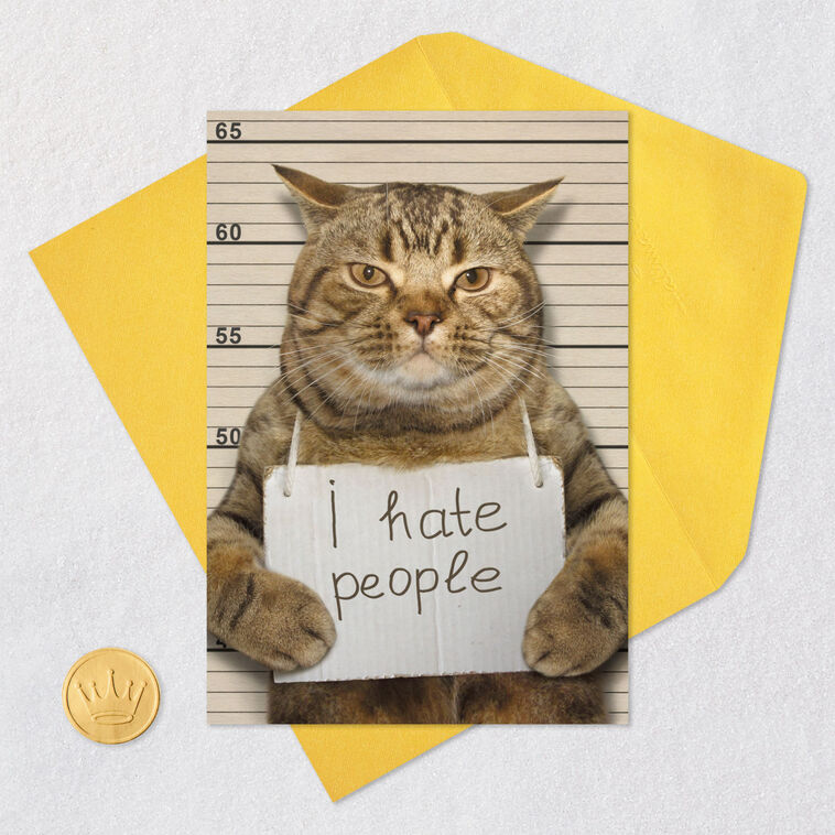 People-Hating Cat Mugshot Funny Friendship Card Card Front with Envelope and Gold Seal image number 5