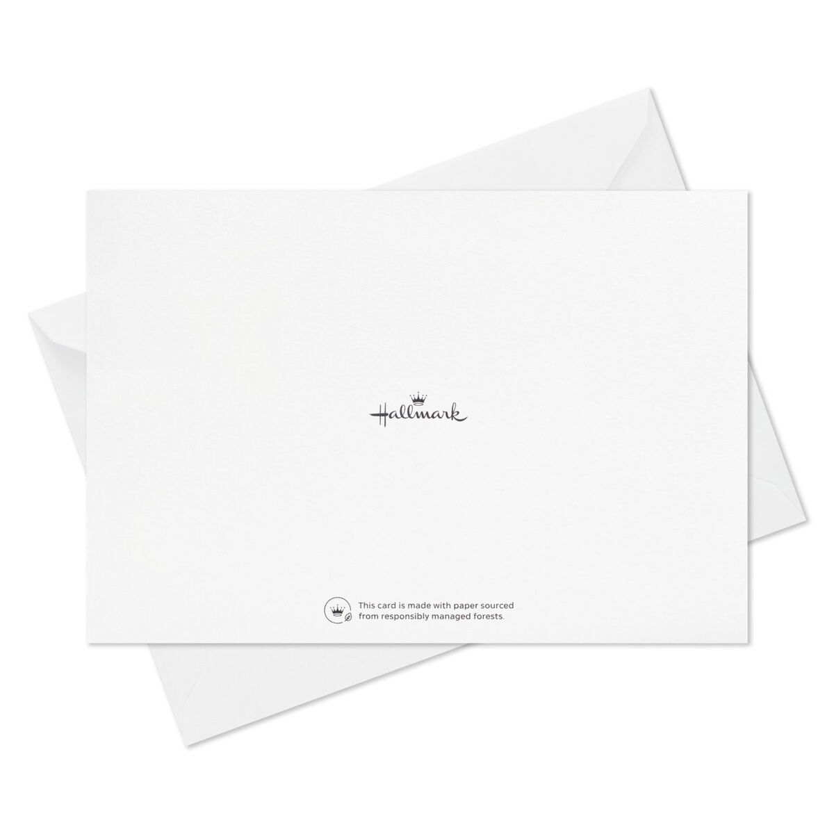 Good Spirits Boxed Halloween Cards, Pack of 40 Boxed Cards Hallmark