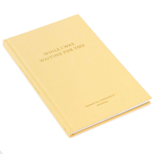 While I Was Waiting Prompted Pregnancy Journal, 