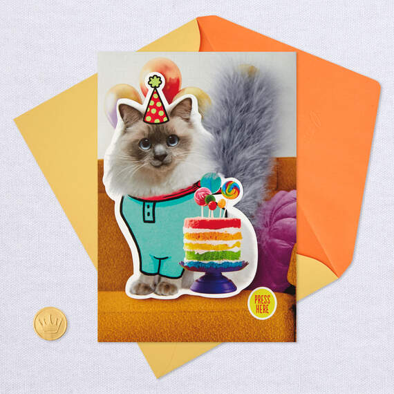 Party Cat Funny Musical Birthday Card With Motion, , large image number 5