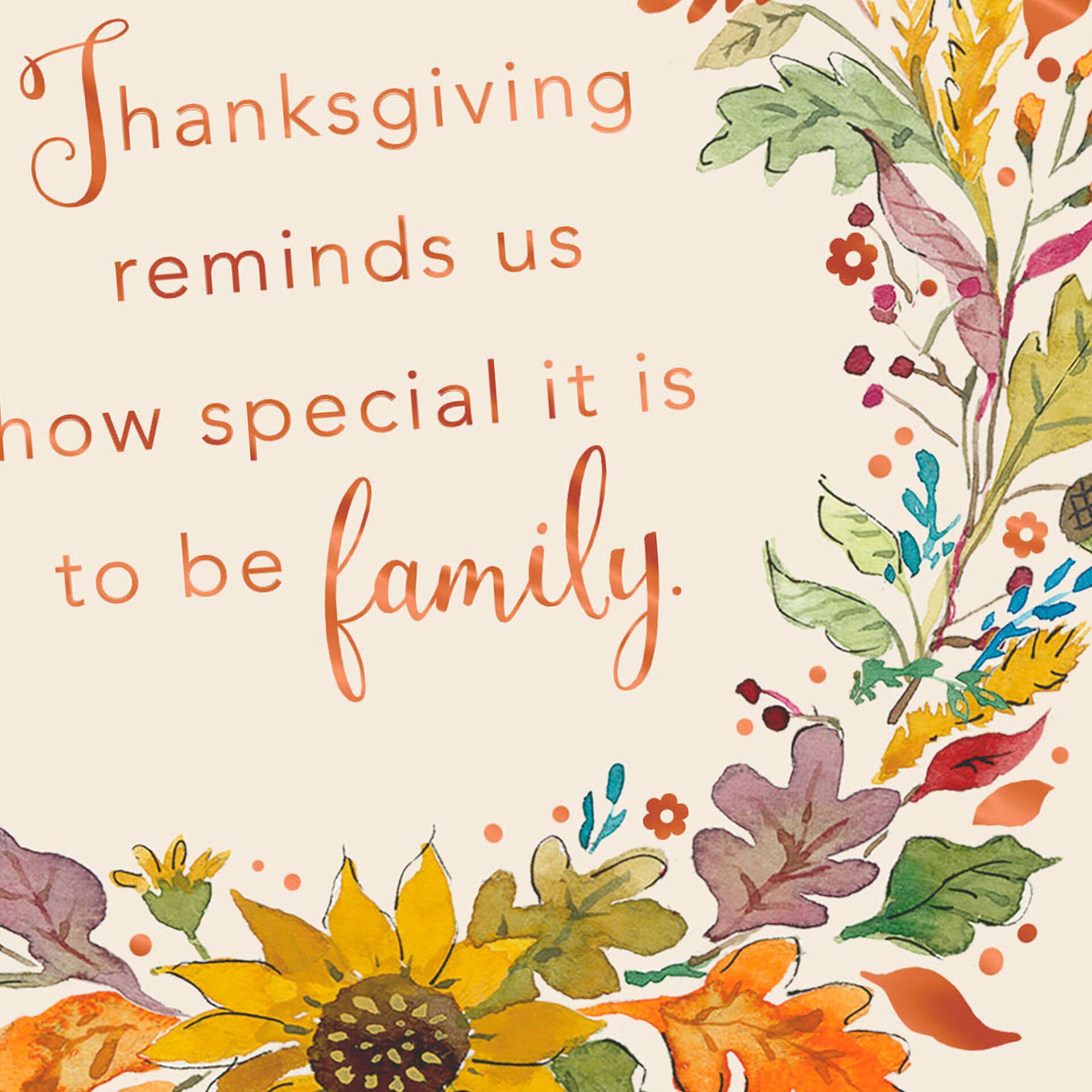 West towne mall thanksgiving hours