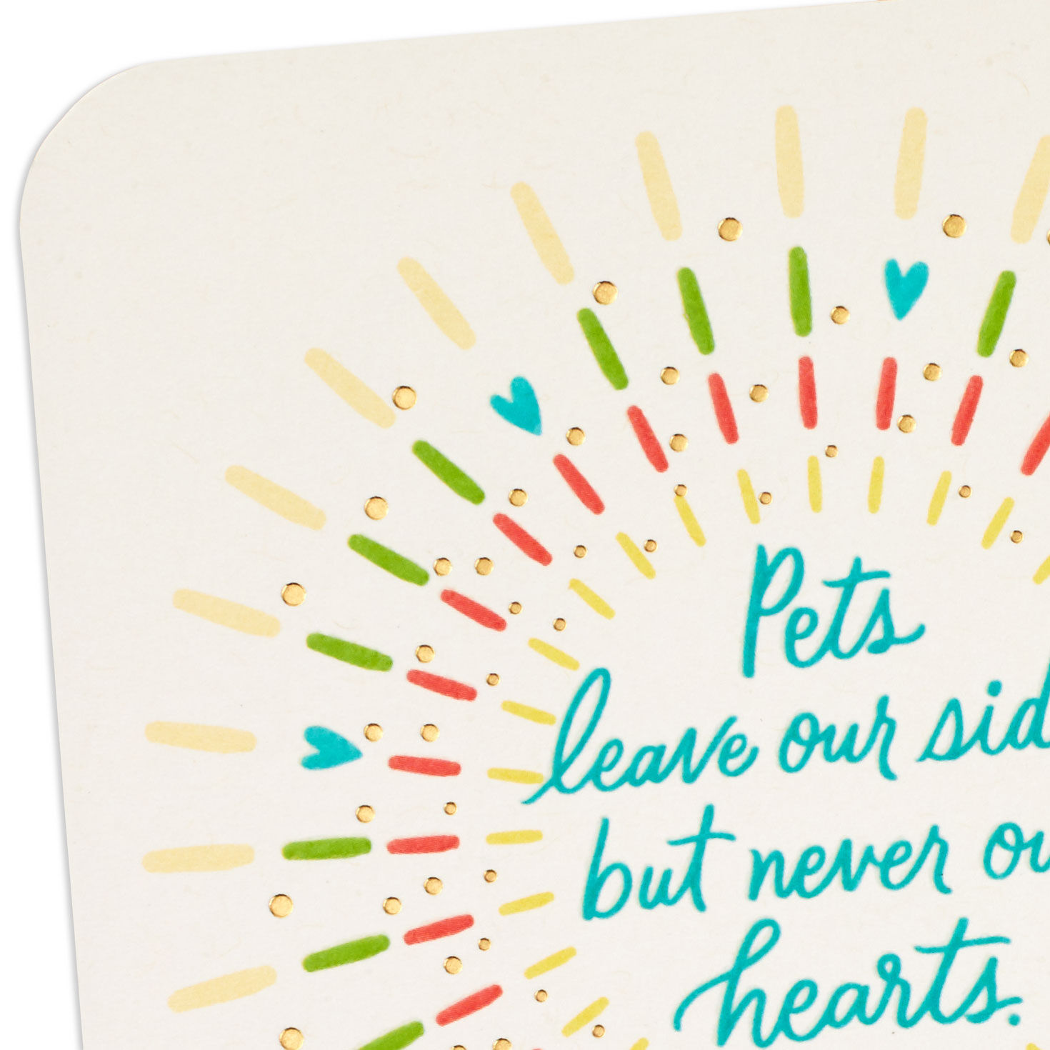 Pets Never Leave Our Hearts Sympathy Card, , large image number 4