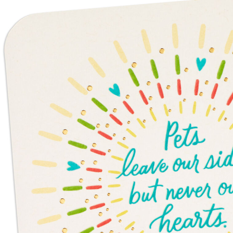 Pets Never Leave Our Hearts Sympathy Card, , large image number 4