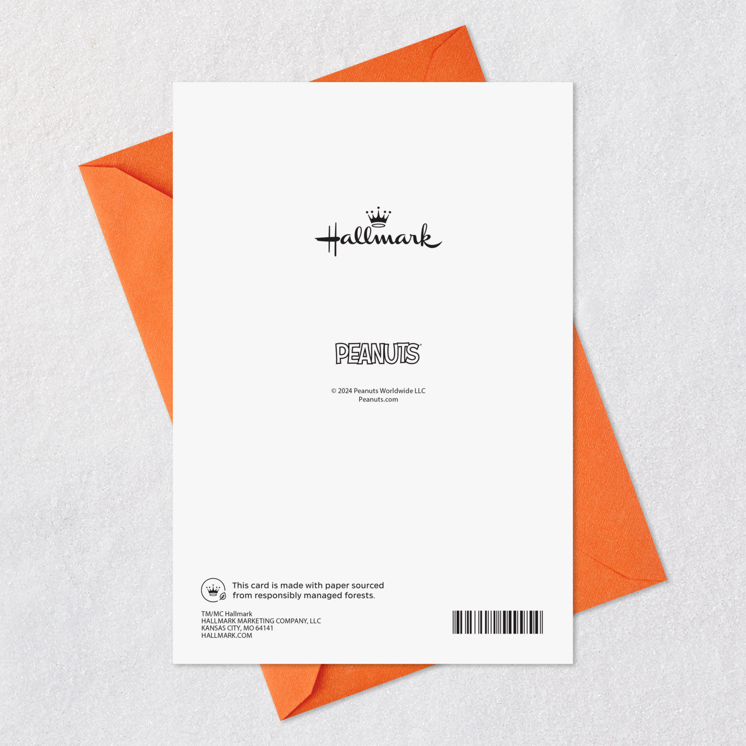 Peanuts Trick-or-Treat Funny Halloween Card Card Back with Envelope image number 7