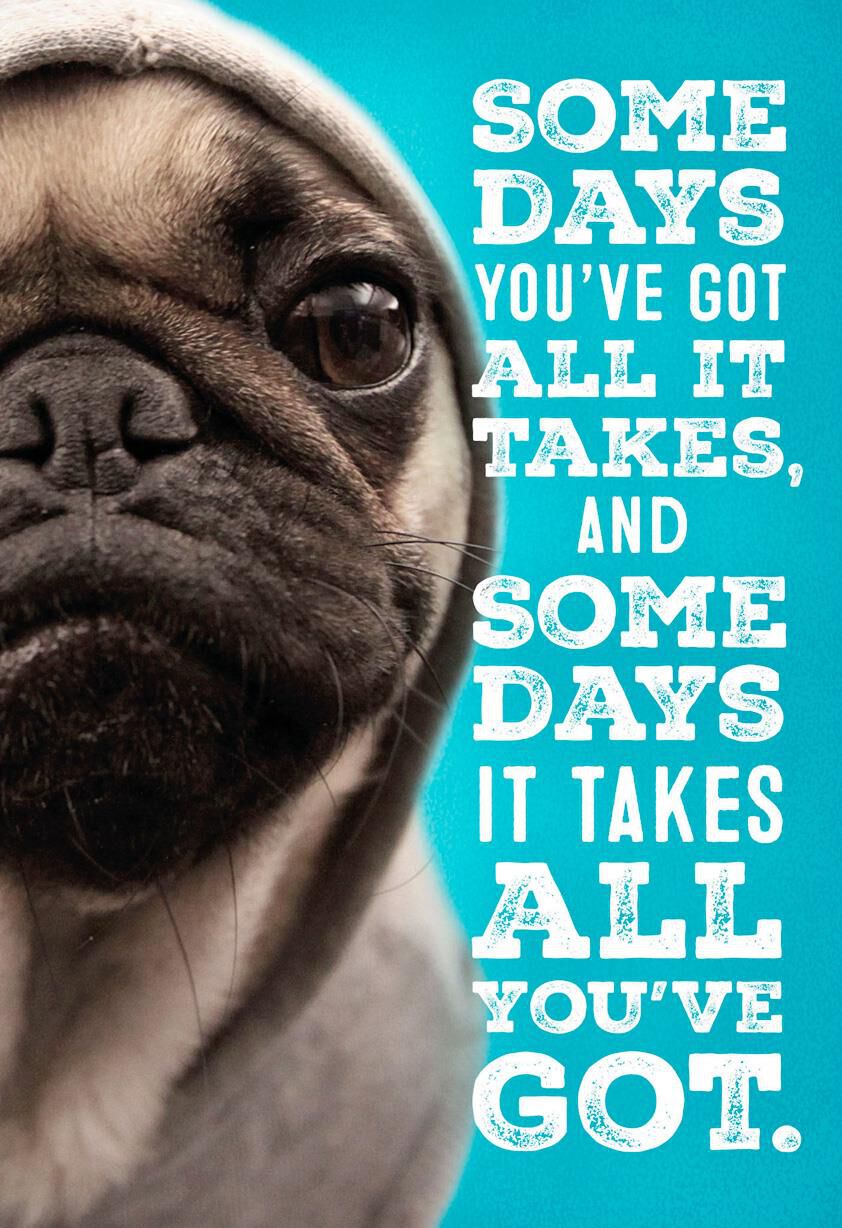 Bulldog in Hoodie Encouragement Card