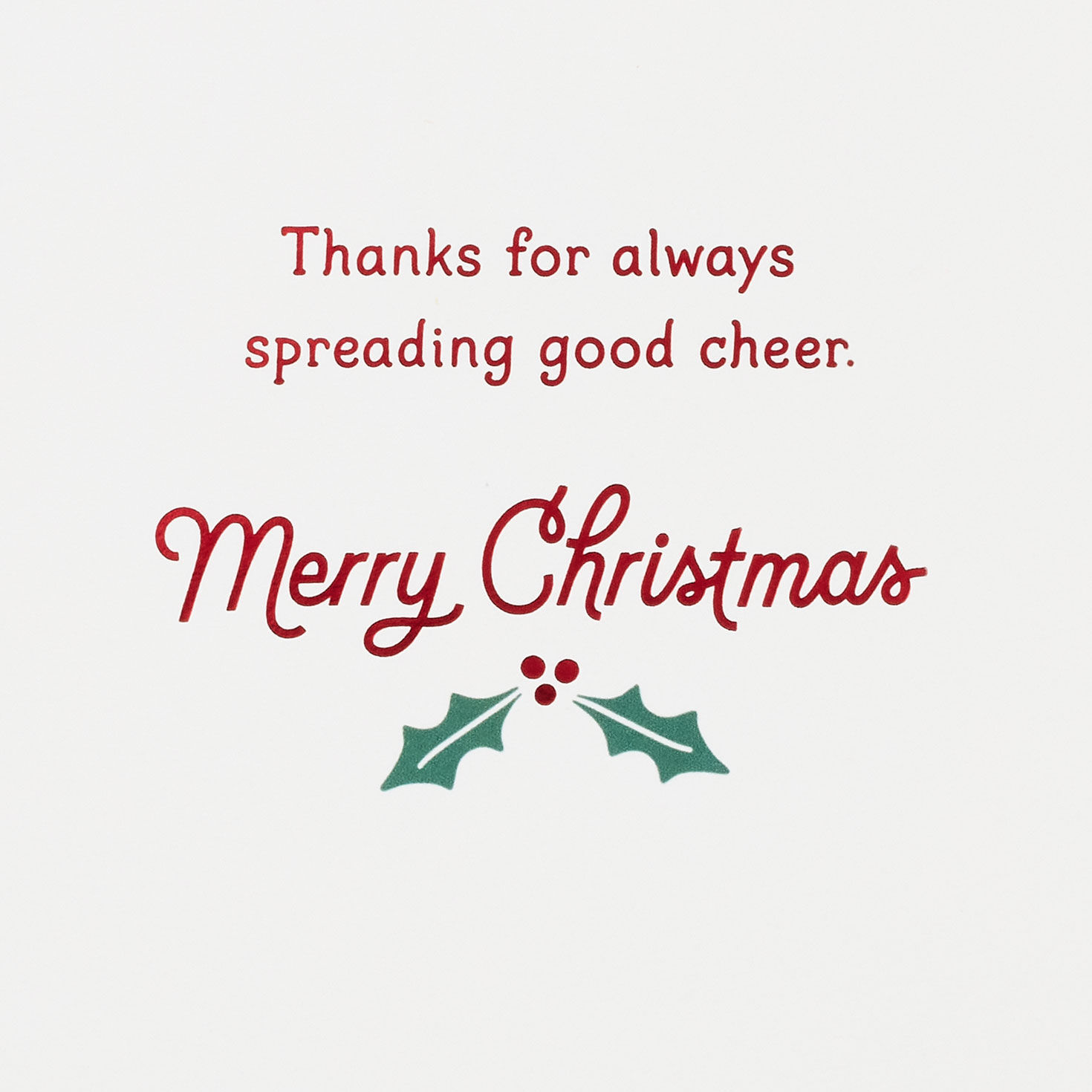 Red Candy Cane Holly Funny Christmas Card Sentiment image number 2