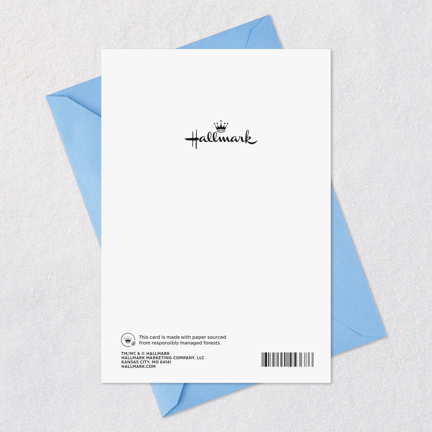 Koala on Branch Encouragement Card Card Back with Envelope image number 7