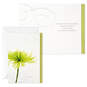 Flower Photos Assorted Sympathy Cards, Box of 12, , large image number 3