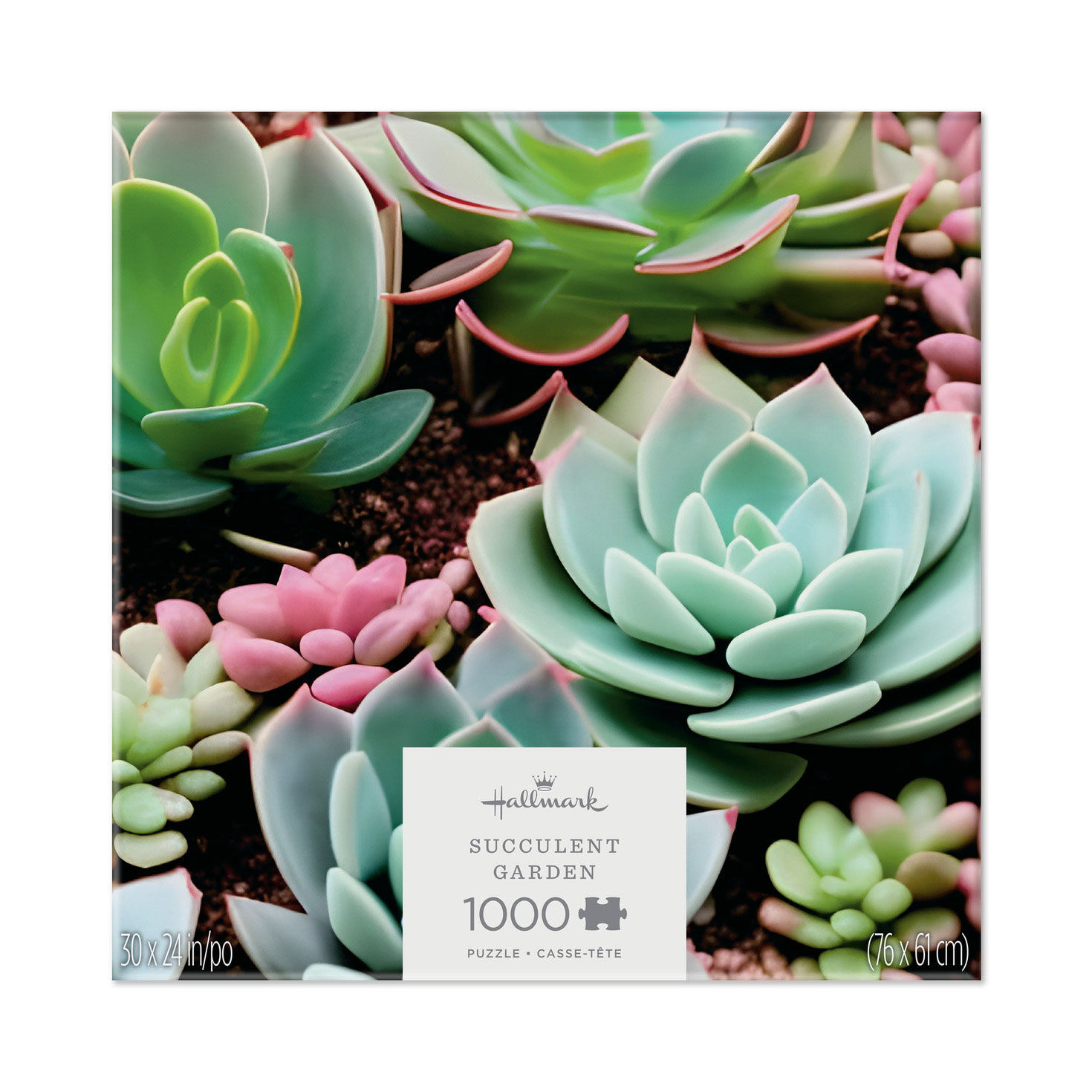 Succulent Garden 1000-Piece Jigsaw Puzzle for only USD 19.99 | Hallmark