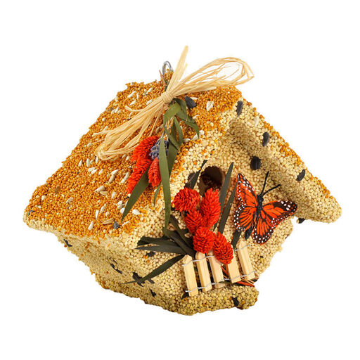 Mr. Bird All Season Wren Casita Birdhouse, 